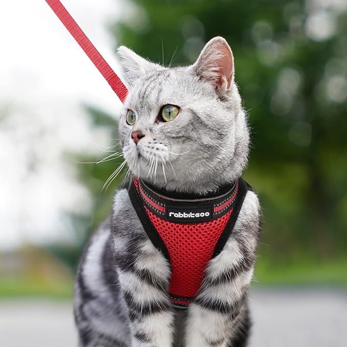 rabbitgoo Cat Harness and Leash Set for Walking Escape Proof, Adjustable Soft Kittens Vest with Reflective Strip for Cats, Comfortable Outdoor Vest, Red, M