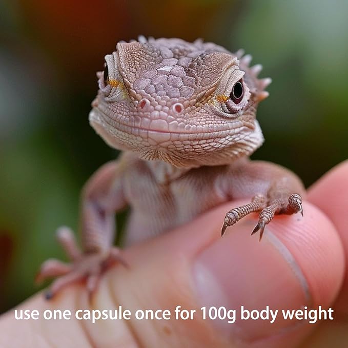 Vitamin A Supplement for Reptiles and Amphibians, 30 Capsules.
