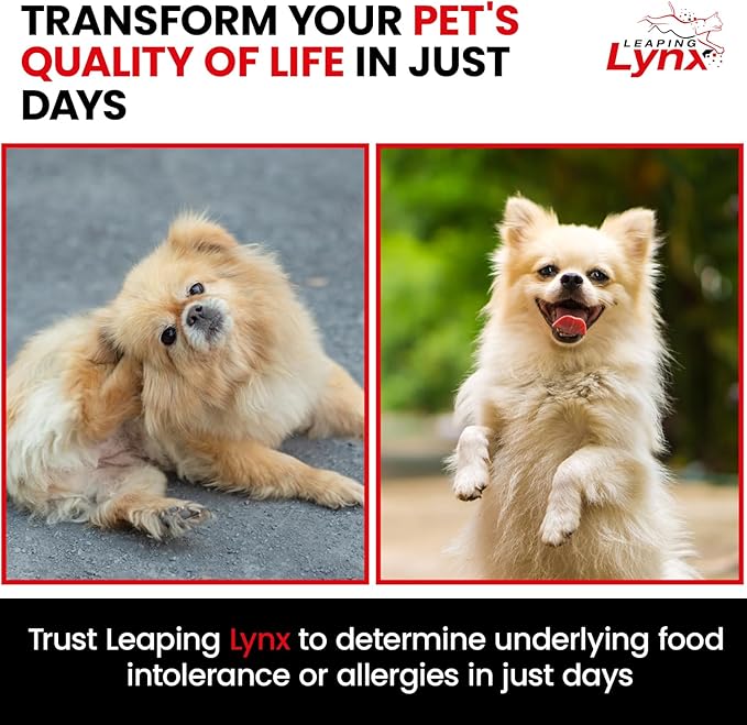 Vet-Recommended Pet Food Sensitivity & Intolerance Test Kit for Dogs & Cats, Lab Fee Included, Results in 3 Days - Fur Analysis for ~200 Foods & Allergens, Allergy Test Kit for All Breeds & Ages