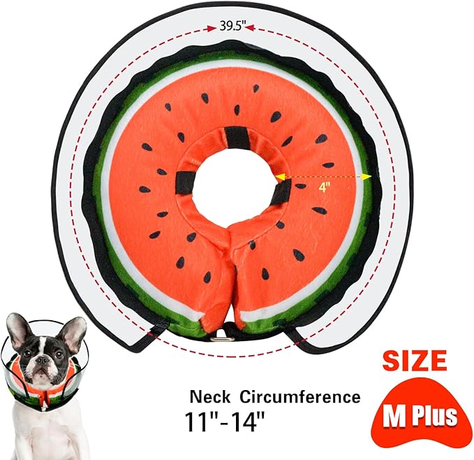 Dog Cone,Dog Surgery Collar,Dog Cones for Small Medium Large Dogs,Inflatable Cone for Dogs,Watermelon Dog Cone Collar, Does not Impede Vision Dog Recovery Collar