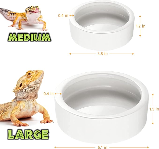 Reptile Food Dish Bowl - Anti-Escape Ceramic Worm Water Dish Feeder for Mealworm, Superworm, Dubia Roaches, Lizard, Leopard Gecko, Bearded Dragon, Chameleon, Skink, Tegu, Snake (Medium, White)