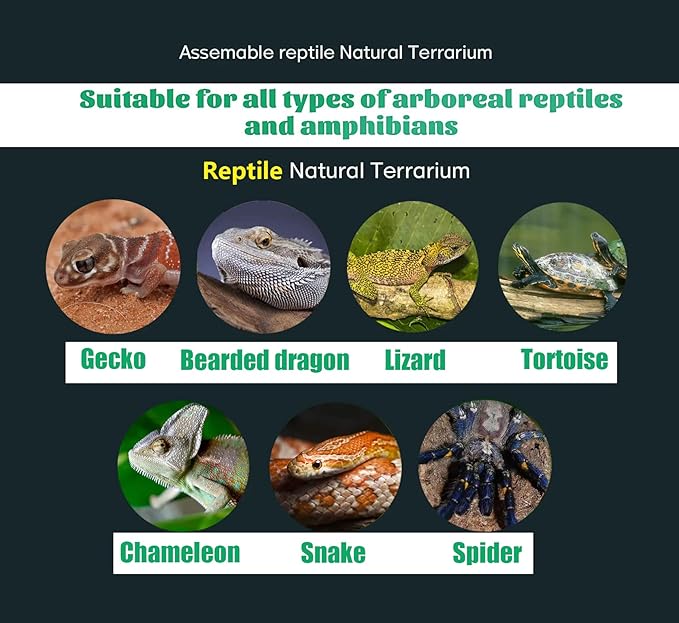 Reptile Artificial Plants Terrarium Decor, Fake Desert Plants Bearded Dragon Tank Decorations Accessories fit Crested Gecko Leopard Lizard Chameleon Ball Python Snake Frog - Tillandsia