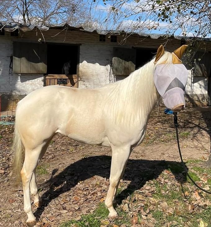 Horse Fly Mask with Ears and Nose – Fly Masks with Nose Ears Cover - Non-Heat Transferring Mesh – 70% Uv Protection - Breathable Equine Fly Mask – Full Size Horses – Soft and Comfortable Face Flymask