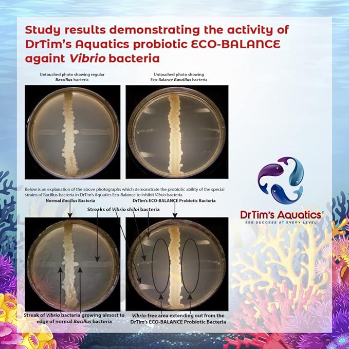 DrTim’s Aquatics Eco-Balance for Reef Aquariums – Multi-Strained, Supportive Probiotic Bacteria to Maintain a Balanced Fish Tank Environment-8 oz.