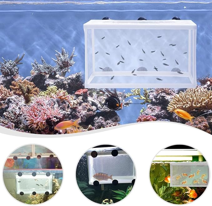 Aquarium Fry Hatchery Net Fine Mesh Fish Hatchery Isolation Net with Suction Cups Hatchery Transparent Isolation Box for Fish Tank