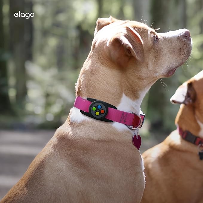 elago Airtag Pet Collar W5 Case Compatible with Apple AirTag - Drop Protection Keychain, Cute Design (Track Dogs, Keys, Backpacks, Purses) Tracking Device Not Included (Black)