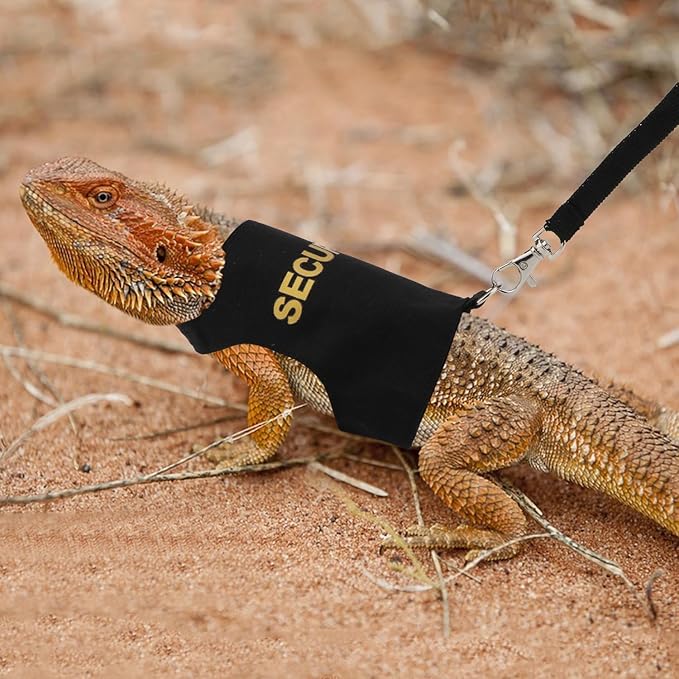Hypeety Bearded Dragon Harness and Leah Set Adjustable Escape Proof Leash Outdoor Walking Training Leash and Harness for Bearded Dragon Lizard Reptiles Small Pets Black (Security)