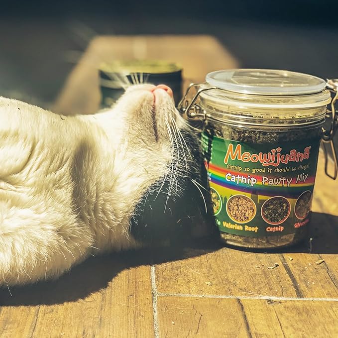 Meowijuana Catnip Pawty Mix Jar - Premium Organic Catnip for Cats - Irresistible Blend for Feline Entertainment, Fresh Catnip for Extended Playtime - Elevate Your Cat's Enjoyment
