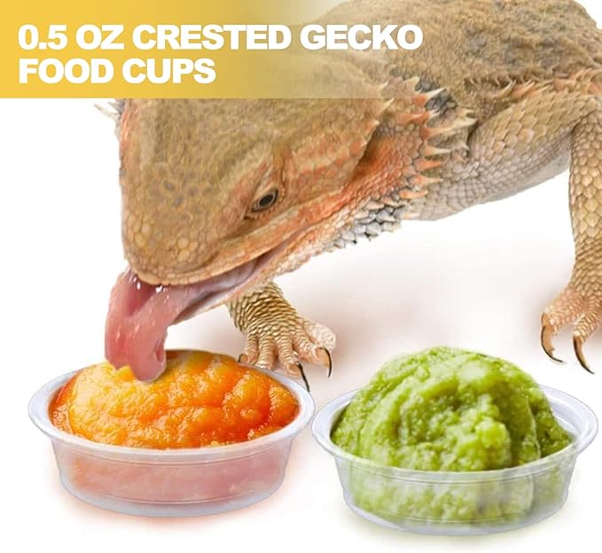 0.5oz Crested Gecko Food and Water Feeding Cups, Reptile Feeder Bowls, Plastic Replacement Food Dish for Lizard and Other Small Pet Ledge Accessories (100 pcs)