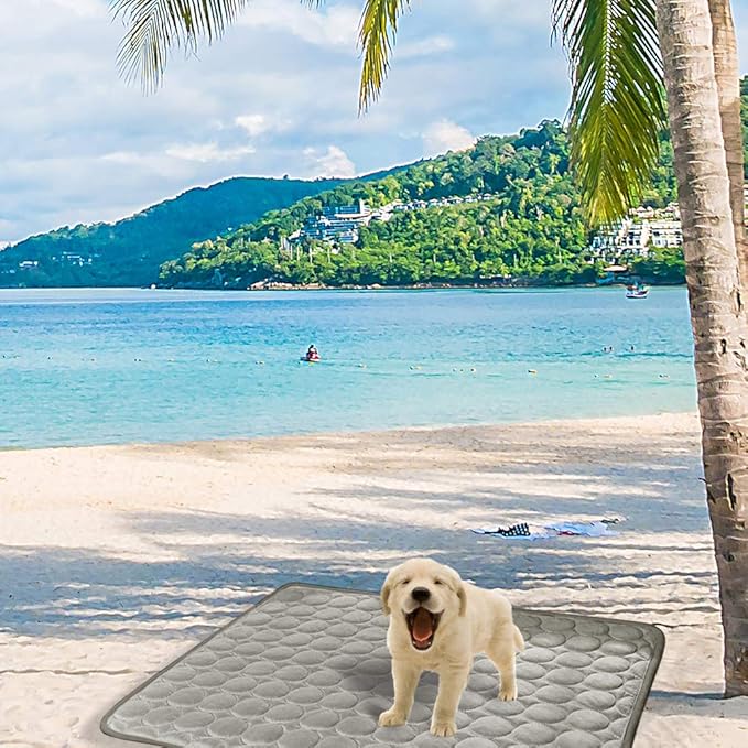 VeMee Summer Cooling Mat for Dogs Cats Ice Silk Self Dog Cooling Mat Breathable Pet Crate Pad Portable & Washable Pet Cooling Blanket for Outdoor or Home (40 X 28in, Grey)