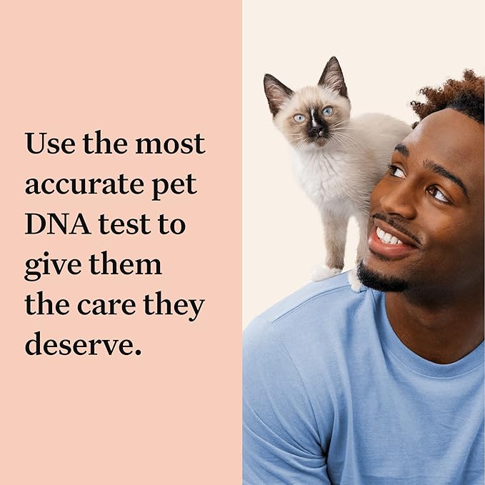 Wisdom Panel Complete: Comprehensive Cat DNA Test kit for 45 Health Genetic Health Conditions, 70+ Breeds and populations, 25+ Traits, Blood Type - 2 Pack