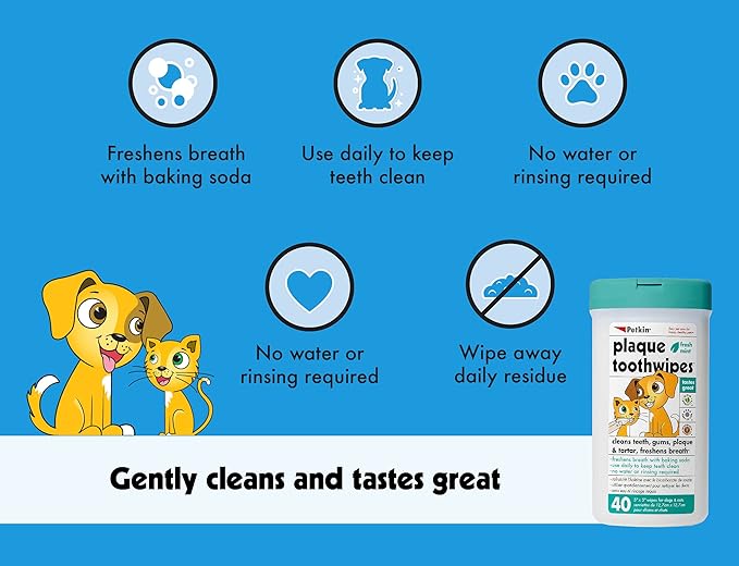 Petkin Cat and Dog Dental Wipes, 80 Wipes (Fresh Mint) - Natural Formula Cleans Teeth, Gums & Freshens Breath - for Daily Use - Convenient Dog Dental Care - 2 Packs of 40 Wipes (80 Wipes Total)