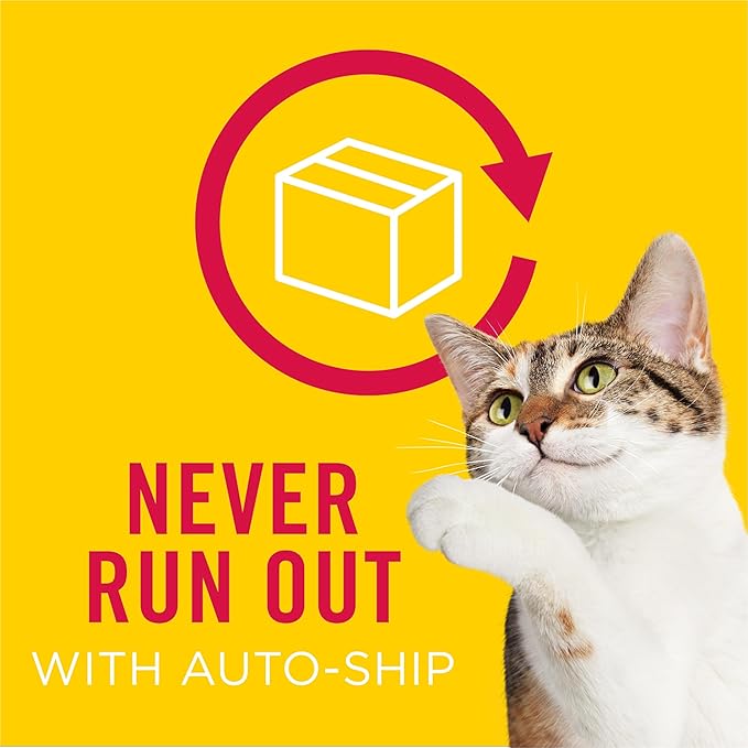 Purina Friskies Wet Cat Food Pate Turkey and Giblets Dinner - 5.5 Ounce (Pack of 24)