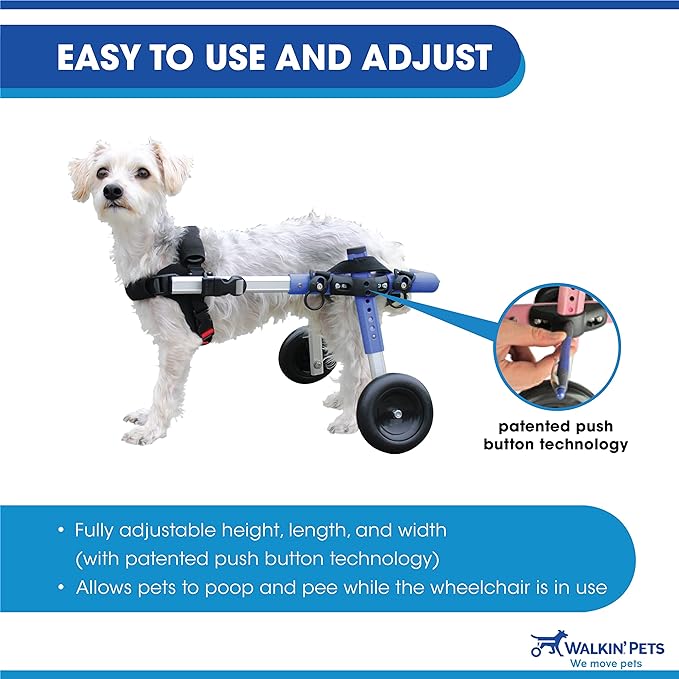 Walkin' Wheels Small Dog Wheelchair, Lightweight Dog Wheelchair for Back Legs, 11-14 lbs, for 7-8 inches Leg Height - Seafoam