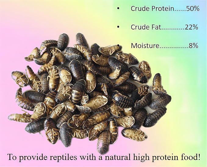 16oz Freeze-Dried Dubia - High Protein Reptile & Amphibian Food