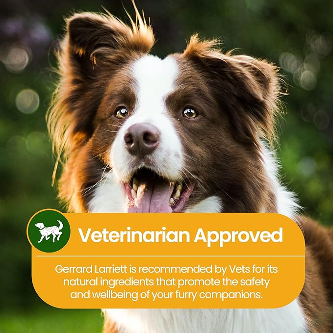 Gerrard Larriett: Natural Dog and Cat Breath Freshener - Dog Mouthwash with Mint, Aloe Vera, & Baking Soda - Gentle Cat & Dog Breath Spray for Plaque, Tartar Control for Full Pet/Dog Oral Care, 8 oz