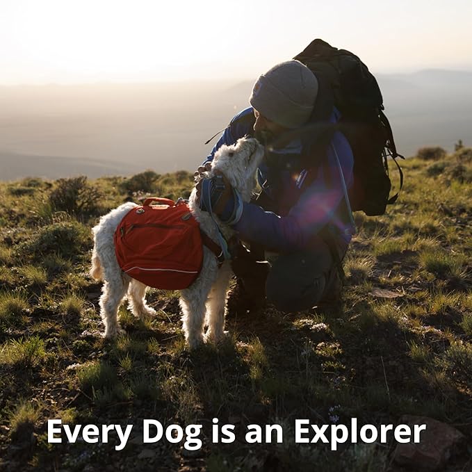 Ruffwear, Crag Dog Collar, Reflective and Comfortable Collar for Everyday Use, Canyon Oxbow, 11"-14"