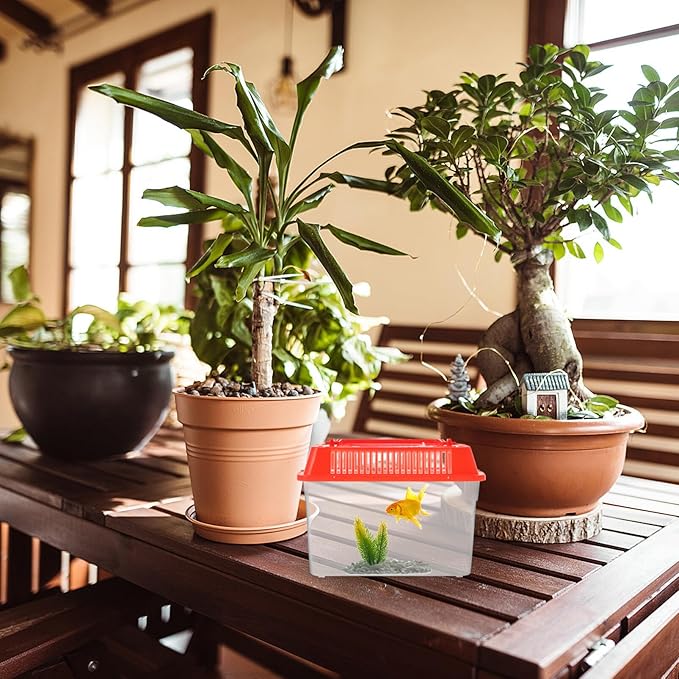 Baluue Portable Fish Tank, Handheld Fish Tank, Plastic Mini Fish Box, Transparent Cutout Design, Plastic Aquarium with Handle for Turtle and Pet Fish ((Red- Lid for Random))