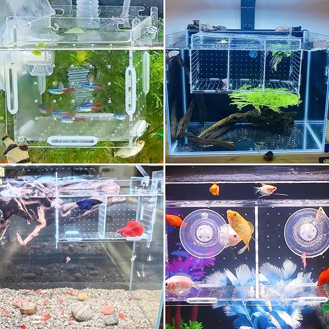 PINVNBY Acrylic Fish Breeding Box,Guppy breeding Box Acrylic Fish Isolation Box Aquarium Incubator with Suction Cups for Guppy Shrimp Small Baby Fishes(3.9 * 3.9 * 3.9 in)