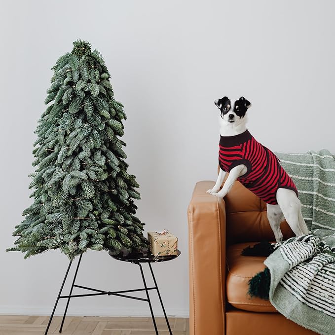 Kuoser Recovery Suit for Dogs Cats After Surgery, Professional Pet Recovery Shirt Dog Abdominal Wounds Bandages, Substitute E-Collar & Cone,Prevent Licking Dog Onesies Pet Surgery Recovery Suit