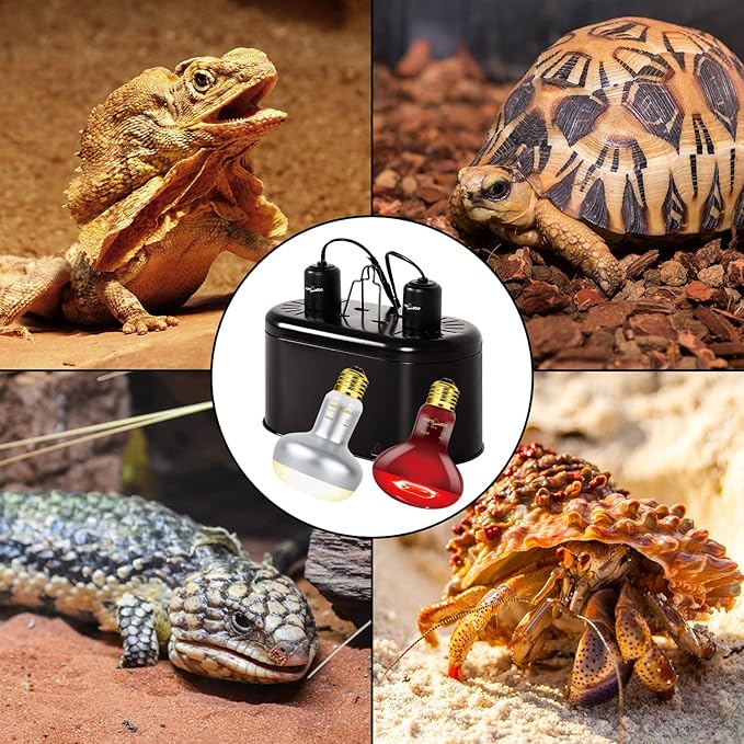 REPTIZOO Reptile Dual Lamp Fixture Heat Lamp Bulb Combo Pack includes 100W UVA Daylight Heating Lamp and 100W Infrared Heat Emitter Infrared Basking Spot