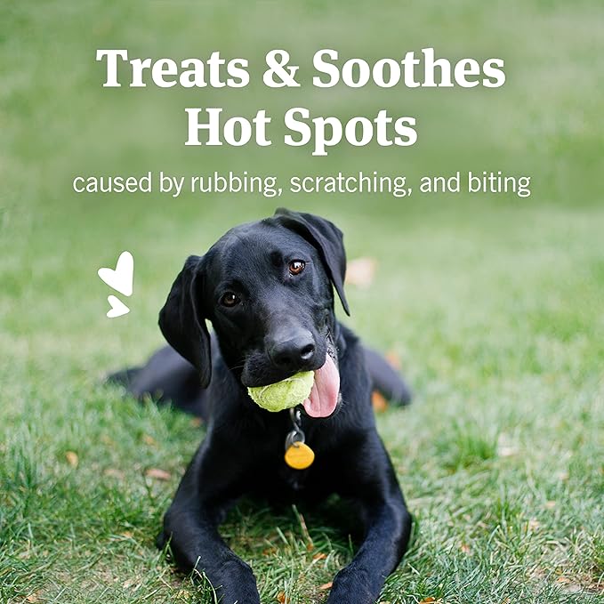 PetArmor Hot Spot Skin Remedy for Dogs, 4 oz