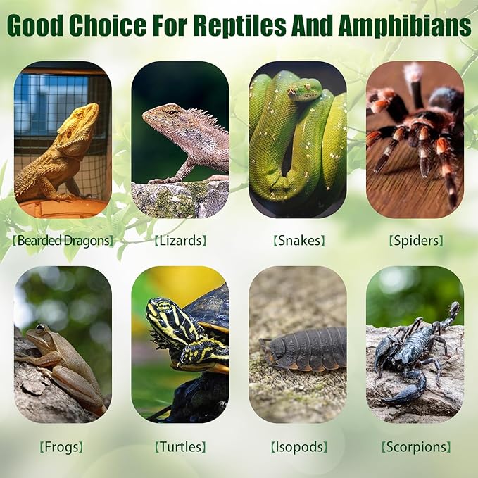 Reptile Bark Bedding,1 LB Natural Cork Bark for Reptiles Flat Cork Wood Terrarium Substrate Tank Supplies for Snake Spiders Bearded Dragons Hermit Crabs Geckos