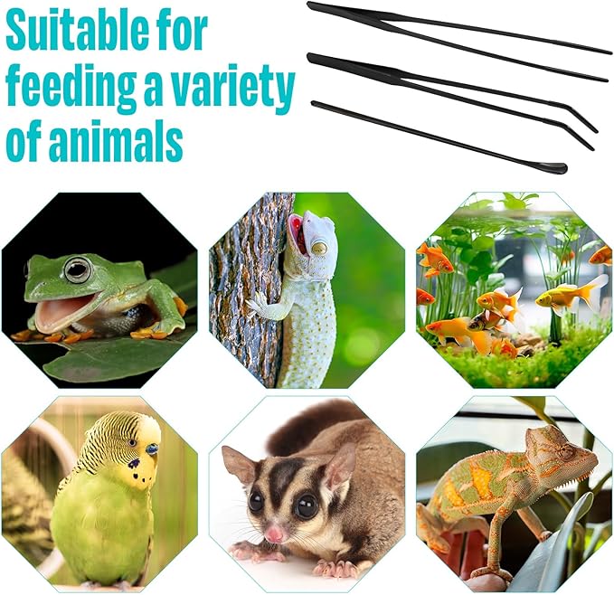 3 Pcs Stainless Steel Reptile Feeding Tool Set with 2 Rubber Tipped Tongs and 1 Crested Gecko Feeding Spoon, Crested Gecko Tank Accessories for Geckos, Lizards, Bearded Dragons,Black