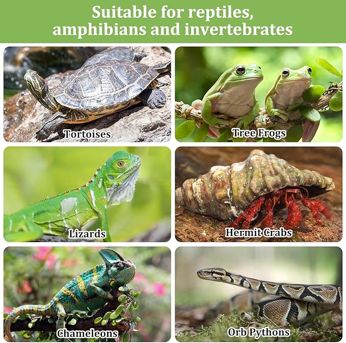 10LBS Expanded Clay Balls Terrarium Substrate for Reptiles - 100% Organic Lightweight Clay Pebbles Substrate Frogs False Bottom Substrate, Bioactive Terrarium Substrate for Drainage and Moisture