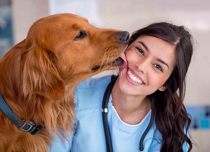 ProDen PlaqueOff Powder – Supports Normal, Healthy Teeth, Gums, and Breath Odor in Pets – 420 g