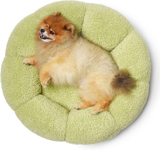 Lesure Calming Small Dog Bed - Flower Donut Round Fluffy Puppy Bed in Plush Teddy Sherpa, Non-Slip Cute Flower Cat Beds for Indoor Cats, Small Pet Bed Fits up to 25 lbs, Machine Washable, Green 23"