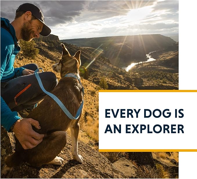Ruffwear, Hi & Light Dog Collar, Minimal and Ultralight Collar for Everyday Walks and Runs, Salmon Pink, 14"-20"