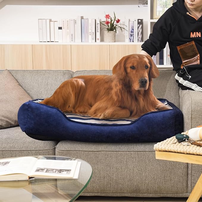 Dog Beds Large Sized Dog, Large Dog Beds with Orthopedic Memory Foam Dog Beds, Pet Beds for Large Dogs, Dog Bed with Removable Washable Cover, Blue & White Color, L, 40" L X 31" W X 6" Th