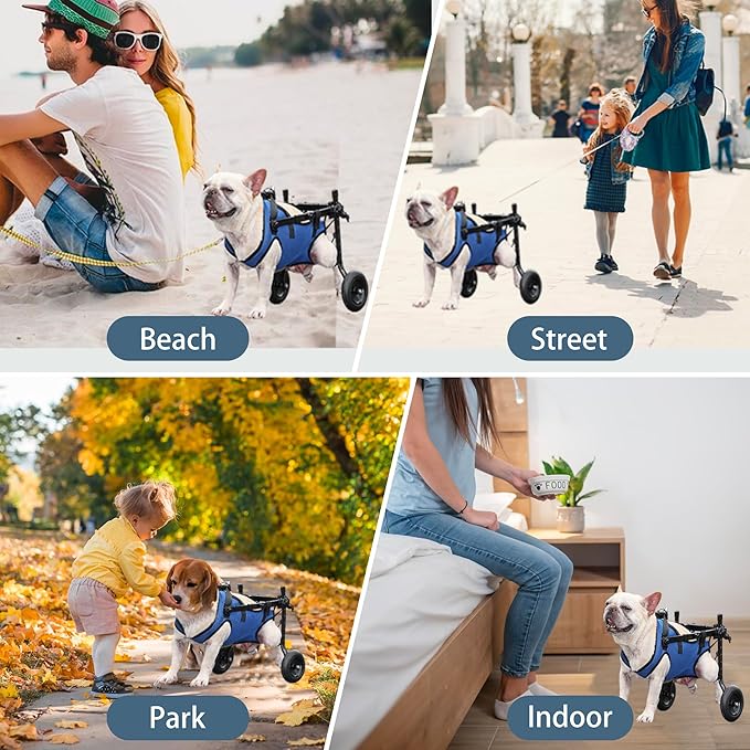 ๐ผ๐ท๐ฎ๐น๐จ๐ซ๐ฌ๐ซ Adjustable Dog Wheelchair, Lightweight Dog Scooter for Back Legs, Max 11 Pound Dogs, Wheelchair for paralyzed Injured Lame Disabled Handicapped Dogs -S