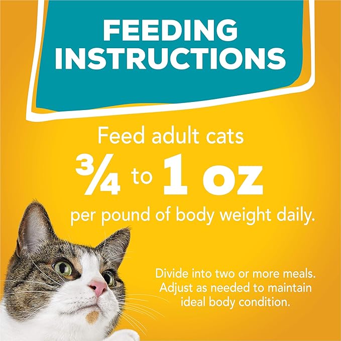 Purina Friskies Gravy Wet Cat Food Variety Pack, Tasty Treasures Prime Filets - (Pack of 24) 5.5 oz. Cans