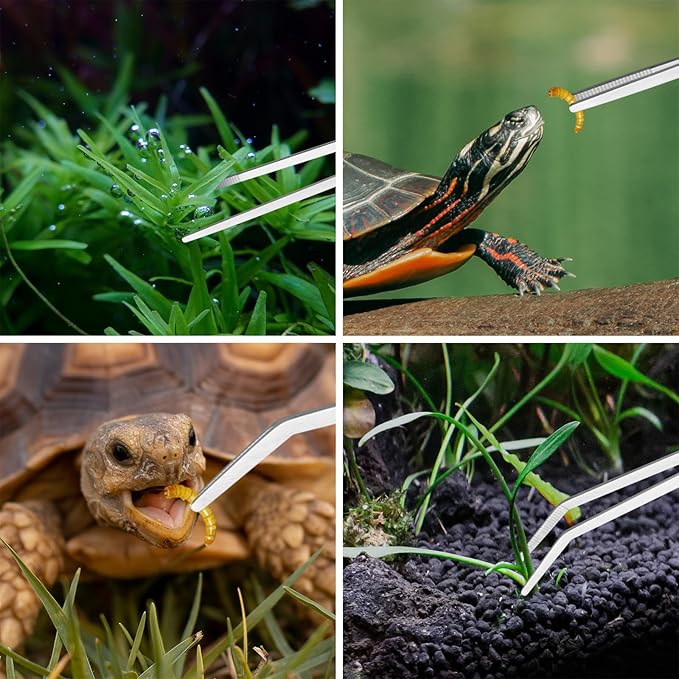 Aquascape Tools Aquarium Kit - 4PCS Terrarium Supplies Include Long Tweezers for Terrarium, Feeding Tongs, Aquarium Scissors, Aquarium Algae Scraper for Fish Tank Cleaning Plant Trimming