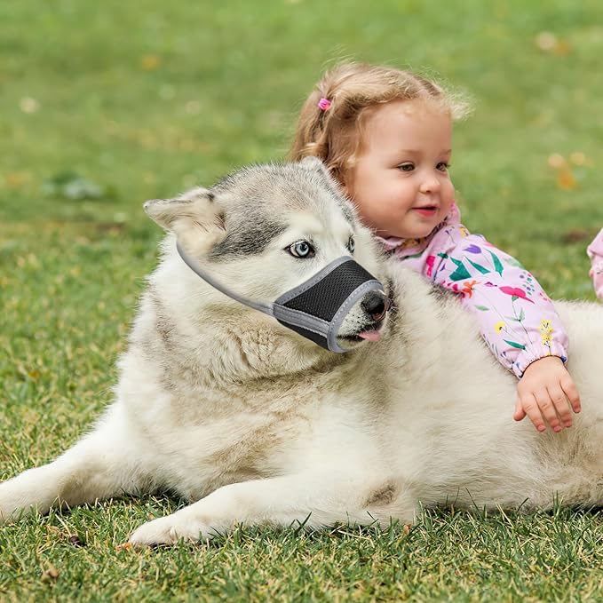 HEELE Dog Muzzle,Soft Nylon Muzzle Anti Biting Barking Chewing,Air Mesh Breathable Drinkable Adjustable Loop Pets Muzzle for Small Medium Large Dogs 4 Colors 4 Sizes (XXL, Gray)