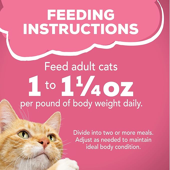 Purina Friskies Wet Cat Food Variety Pack, Surfin' & Turfin' Prime Filets Favorites - (Pack of 40) 5.5 oz. Cans
