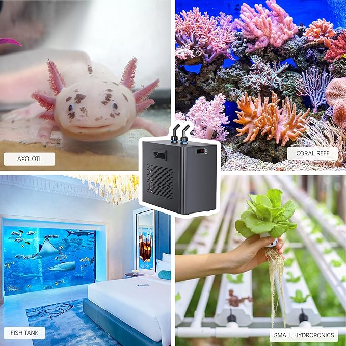Aquarium Chiller for Fish Tank - Water Chiller with Quiet Design Compressor - Refrigeration for Hydroponic System Axolotl Jellyfish Coral (160L)