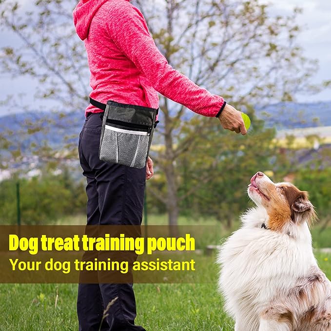 2inch Dog Toy Ball & Dog Training Treat Pouch Include 16pcs Ball Multi-Functional Treat Bag for Puppy Small Medium Dogs