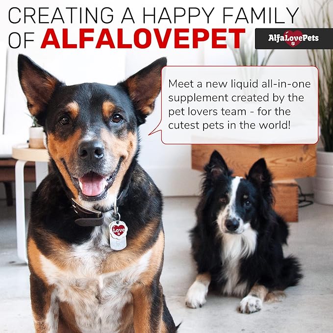 Dog Vitamins and Supplements โฟ Cat Multivitamin โฟ Cat and Dog Supplements & Vitamins โฟ Multivitamins for Dogs โฟ Hip & Joint Pet Vitamins โฟ Vitamin C for Dogs โฟ Vitamin B12 for Cats โฟ Made in USA โฟ 2Oz