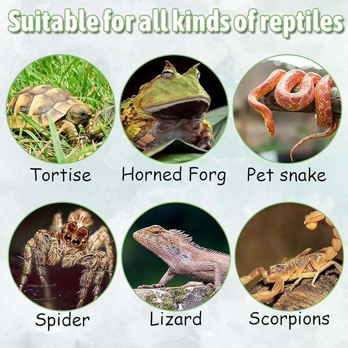 PINVNBY Resin Reptile Platform, Bearded Dragon Water Dish, Artificial Tree Trunk Reptile Feeder Food Water Dish Bowl for Bearded Dragon, Lizard, Gecko, Water Frog, Snake (Smooth)