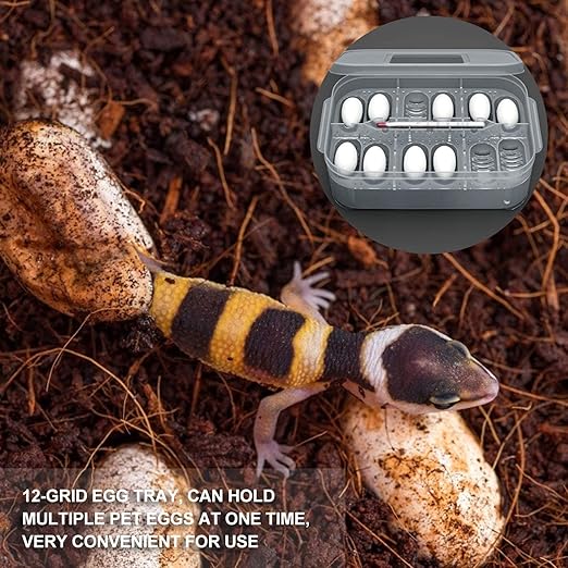 Reptile Egg Incubator Professional Hatcher Hatching Box Case Tray Plastic Breeding Incubator for Hatching Snake,Lizards, Reptiles,Gecko(12 Slots Without Thermometer)