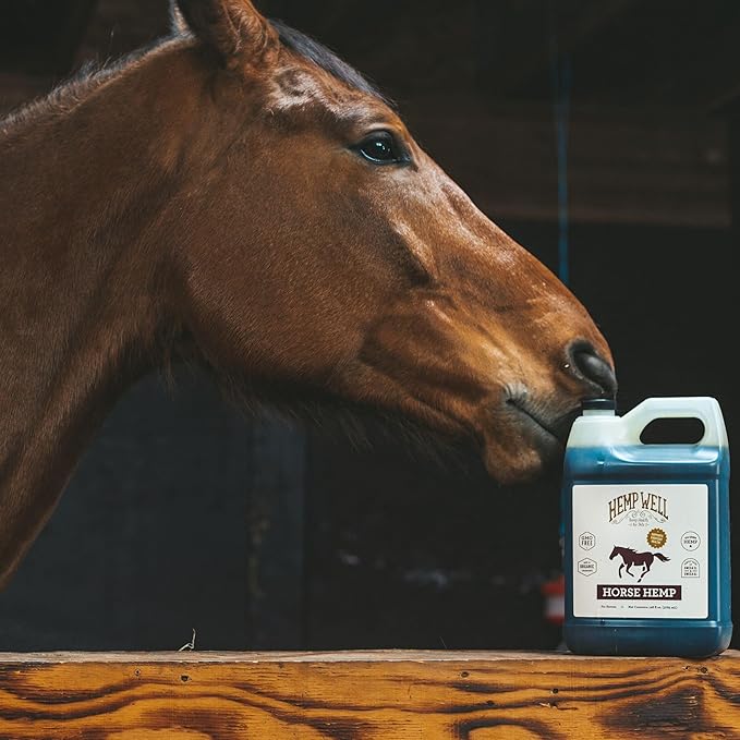 Hemp Well Thrive Oil for Horses, Everyday Supplement for Overall Health, Supports Hip, Joint, and Heart Health, Horse Joint Supplement, Organically Sourced Hemp Seed Oil- 1 Gallon