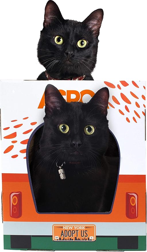 ASPCA Cat House & Cat Scratcher w/Bonus Catnip Included, Adoption Truck cat House (CAS2030)