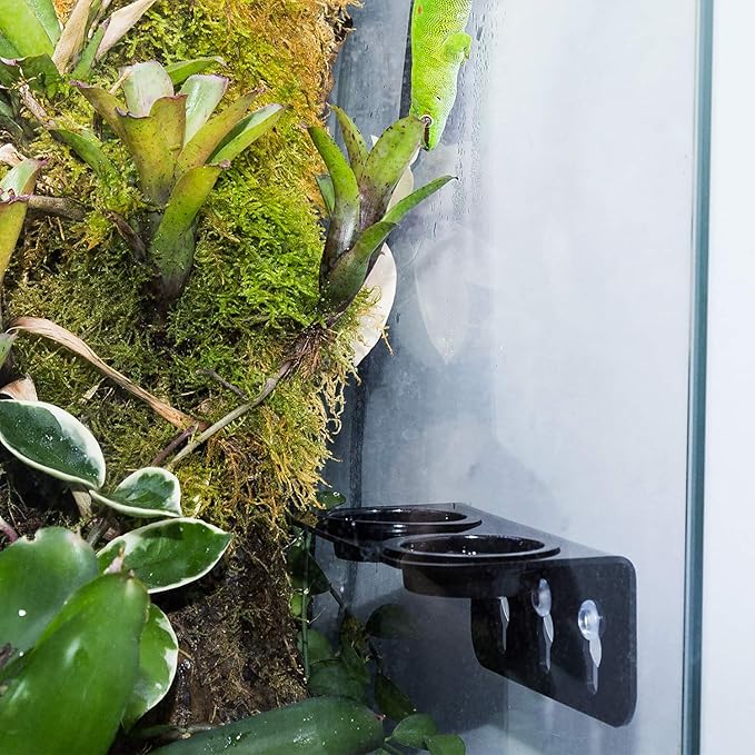 REPTI ZOO Reptile Water Bowl Double Grid Gecko Food Dish Feeder Detachable Suction Cup Reptile Feeding Dish Feeder with 6 Pcs Cups Dish Bowls for Pet Food and Water Feeding