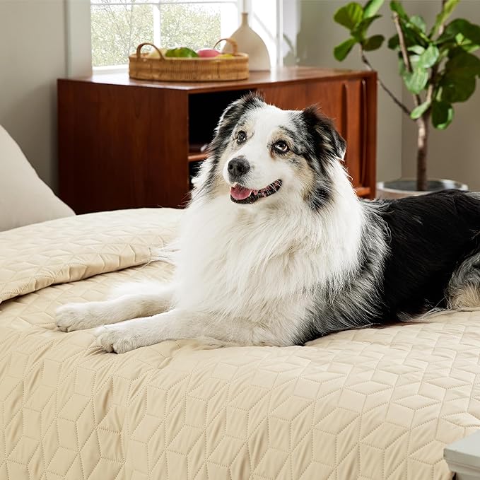 Bedsure 100% Waterproof Couch Cover for Dogs Washable - Non Slip Waterproof Dog Blanket for Couch Sofa, Lightweight Furniture Protector Durable for Pet Cat Puppy with Non-slip Bottom, Beige, 40x50IN