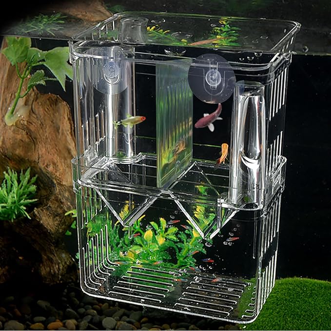 WishLotus Fish Breeding Box, Suspended Breeder Box for Fish Tank with Suction Cups, Multi-Funtional Aquarium Fish Isolation Box Hatchery Incubator for Shrimp Clownfish Betta (S)