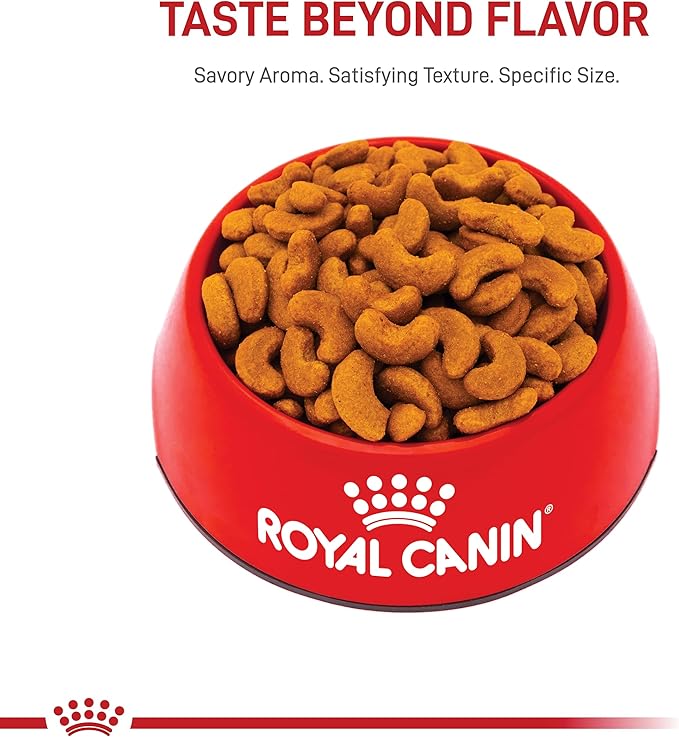 Royal Canin Breed Health Nutrition French Bulldog Adult: Dry Dog Food, 17 lb bag