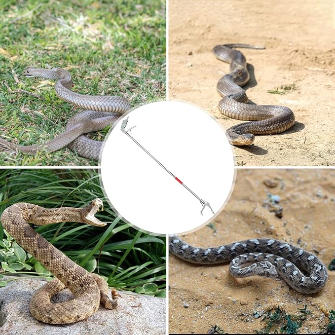 POPETPOP 1pc Clip Home Garden Tool Agriculture Tool Easy to Operate Snake Flexible Snake Lightweight Snake Easy to Clean Snake Fold Stainless Steel Jaws Terrarium Buckle